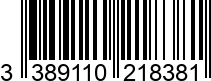 3389110218381