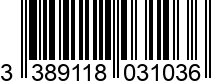 3389118031036