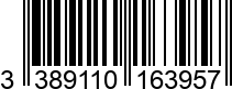 3389110163957