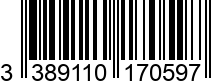 3389110170597