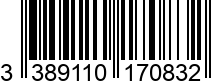 3389110170832