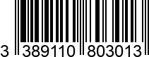 3389110803013