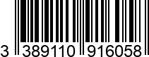 3389110916058