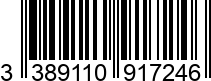 3389110917246