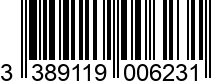 3389119006231