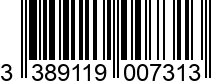 3389119007313