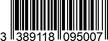 3389118095007