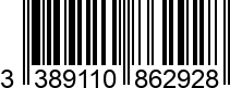 3389110862928