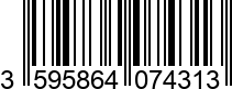 3595864074313