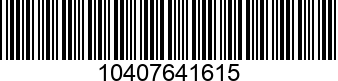 10407641615