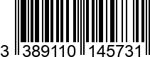 3389110145731