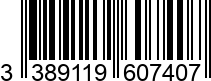 3389119607407