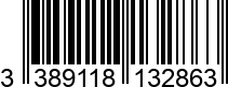 3389118132863