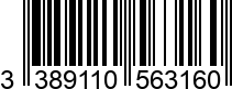 3389110563160