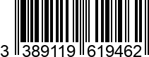 3389119619462