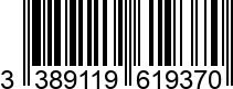 3389119619370