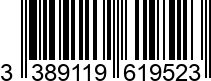 3389119619523