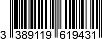 3389119619431