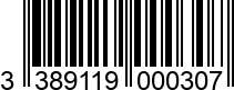 3389119000307