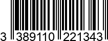 3389110221343