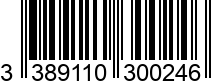 3389110300246