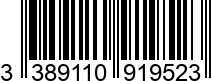 3389110919523