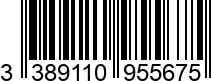 3389110955675