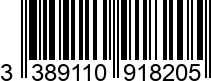 3389110918205