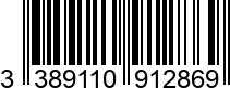 3389110912869