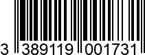 3389119001731