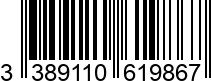 3389110619867