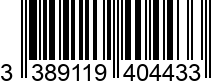 3389119404433