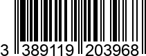 3389119203968