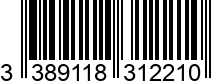 3389118312210