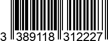 3389118312227