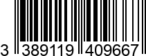 3389119409667