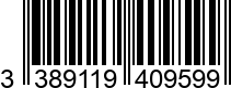 3389119409599