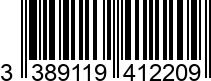 3389119412209