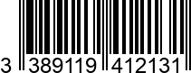 3389119412131