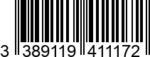 3389119411172