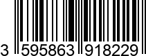 3595863918229