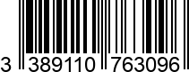 3389110763096