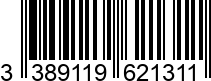 3389119621311