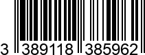 3389118385962