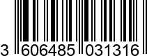 3606485031316