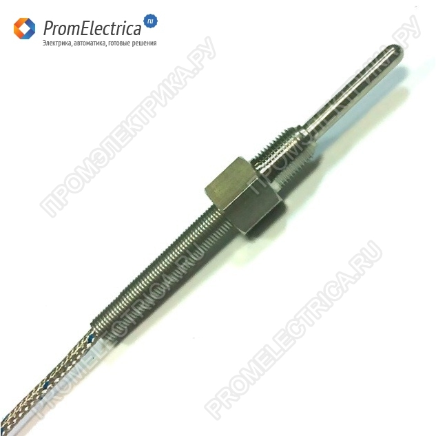TW-N(Pt100) 48*300*3m*1/8 Температурный датчик Pt100 d=48мм*300мм*3m Autonics
