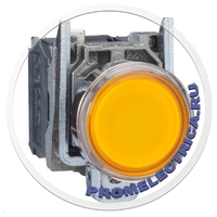 XB4BW35M5 Кнопка с подсветкой, металл, скрытый, оранжевый, Ø22, пружинный возврат, 230...240 V AC, 1 НО + 1 НЗ