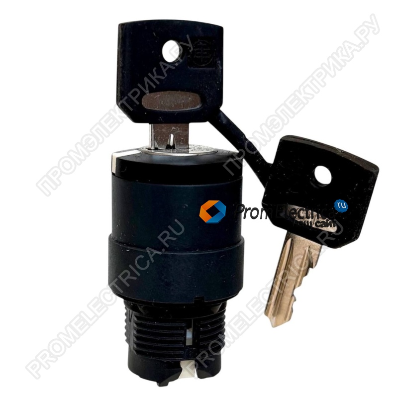 ZB5AG0812 Головка для переключателя с ключом, 22 мм Schneider Electric