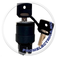 ZB5AG0812 Головка для переключателя с ключом, 22 мм Schneider Electric