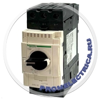 GV3L40 АВТОМАТ С МАГН РАСЦЕП 40А (ВИНТ ЗАЖ) Schneider Electric